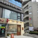 강남고양이분양 호야캣 이미지