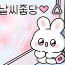 태리네일