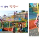 콩새야 놀자