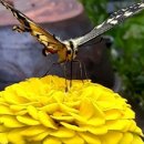 전의농촌체험휴양마을 이미지