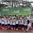 대한태권도장 | 일산자이3차태권도 체력과 인성을 동시에! 우리 아이 태권도장 체험기