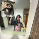 아이슈크림할인점