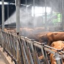 산우리농장 이미지