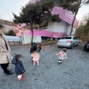 티욤핑크 케이피씨청도점 | 주말 모임 장소로 딱이었던 대구 근교 아이랑 가볼만한곳 티욤핑크 청도점 솔직 후기