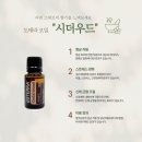 우리요가 네이버블로그