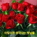 도꾸네 이미지