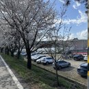 세븐일레븐 파주파평점 이미지