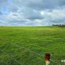 동암목장 이미지