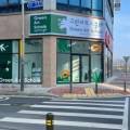 그린아트스콜레에코시티미술교습소