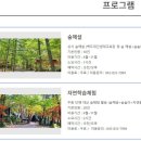 연풍레포츠공원 | 충북 괴산여행 조령산자연휴양림 숙소 숲속의집 5호 양지꽃 이용후기