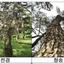 임산물산지유통센터 이미지