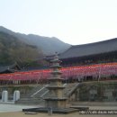 화엄사1로 이미지