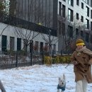 테라피 요가A 이미지