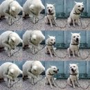 가자#