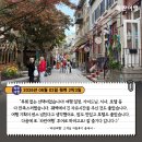 파란기획 | [캐나다 여름] '파란여행'의 퀘벡 2박 3일 여행후기 (2026.06.02)