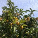 무랑민박 이미지