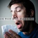 플러스동물약국 이미지