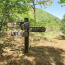 마래산 둘레길 이미지