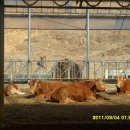 명성농장 이미지