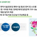 주식회사 비인