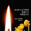 손뜨게 이미지