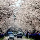 왕인박사마을 이미지