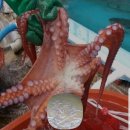 영주수산 이미지