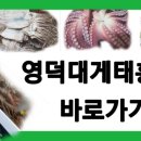 태흥수산