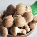 송화농장 이미지