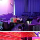 뉴티파니라이브 - 24436 | 뉴티파니라이브