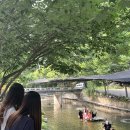 숲속에 머물다 이미지