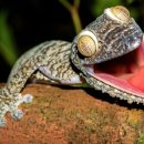 Sm Zone PC 이미지