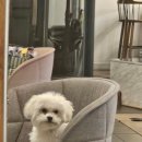 동이몽이 이미지