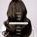후헤어 네이버블로그