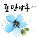 마음을 담은 붓펜 캘리그라피 이미지