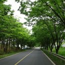 낙동강수련원 캠핑장 이미지