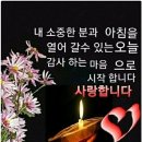 동행상사 이미지