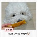 우피네 | 강아지 오래먹는 간식 추천, 로렌츠 우피말이 솔직후기