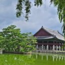 호의민박 이미지