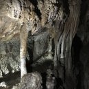 진주장 | 영월 고씨굴 티켓가격과 동굴 내부 상세정보 후기