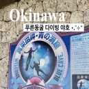 동굴로 | 오키나와 푸른동굴 투어 스쿠버 다이빙 3곳 비교 내돈내산 후기 🌊