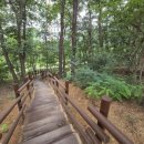 한숲산내음공원 이미지