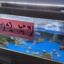 먹통낙지전문점 이미지