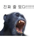 원신 축제에 나타난 강태공좌 이미지