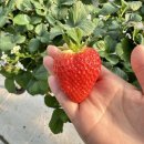 뜰위에농장 이미지