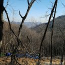 장동리 계곡 이미지