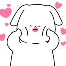 댕댕공방 이미지