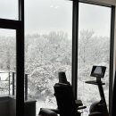 메이저리티 PT스튜디오 이미지