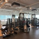 DS휘트니스센터 대전 둔산점 | [1인샤워실 있는 대전 헬스장 추천]브라이튼휘트니스 둔산점/PT가격/시설/꿀팁공유/둔산동 헬스장 추천...
