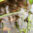 곡정초등학교 이미지